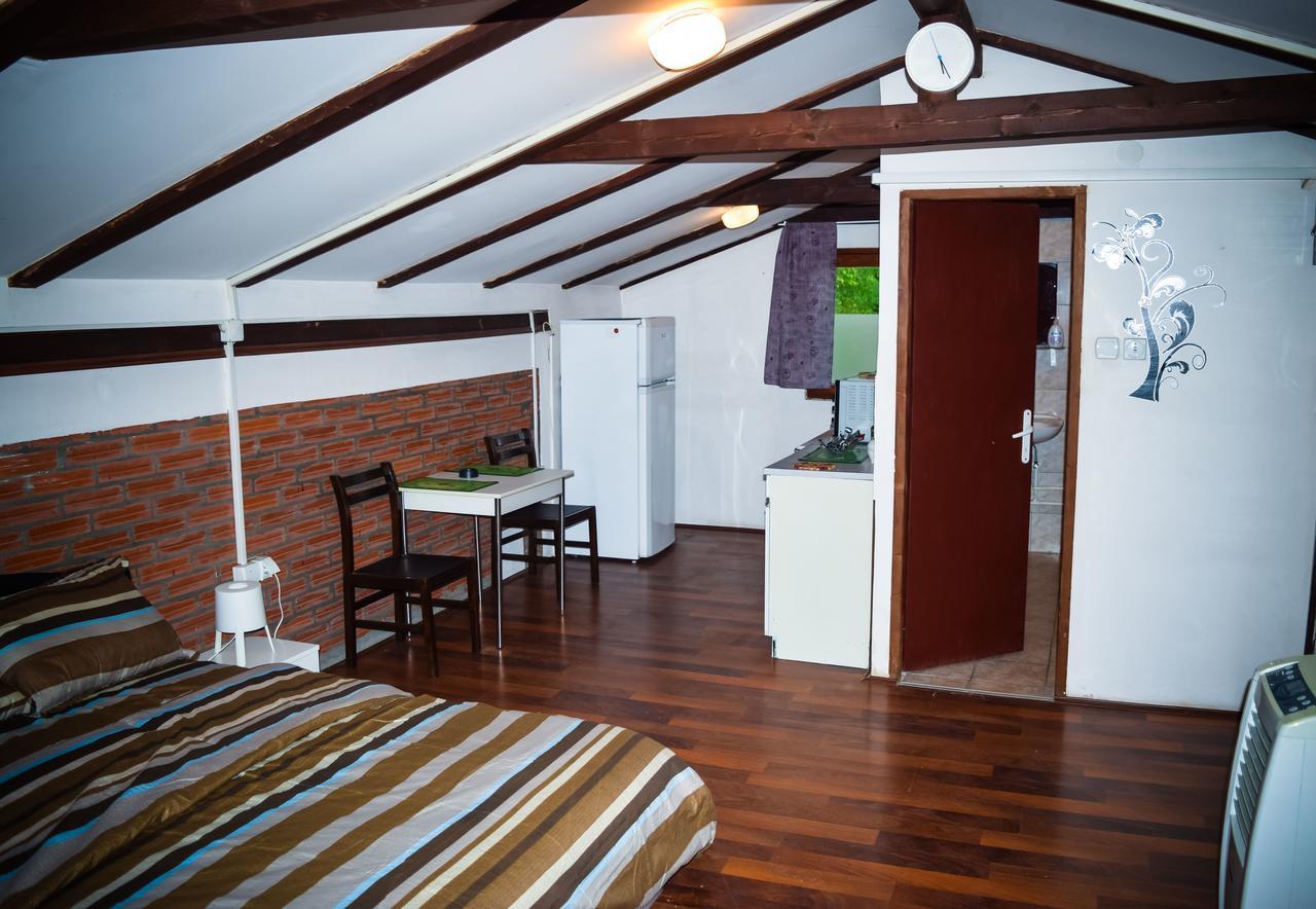 Julijana Apartment Belgrade Exterior photo